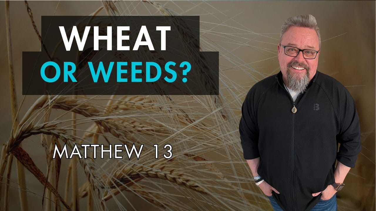 The Harsh Truth of Wheat and Weeds Parable