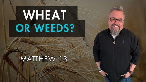 The Harsh Truth of Wheat and Weeds Parable